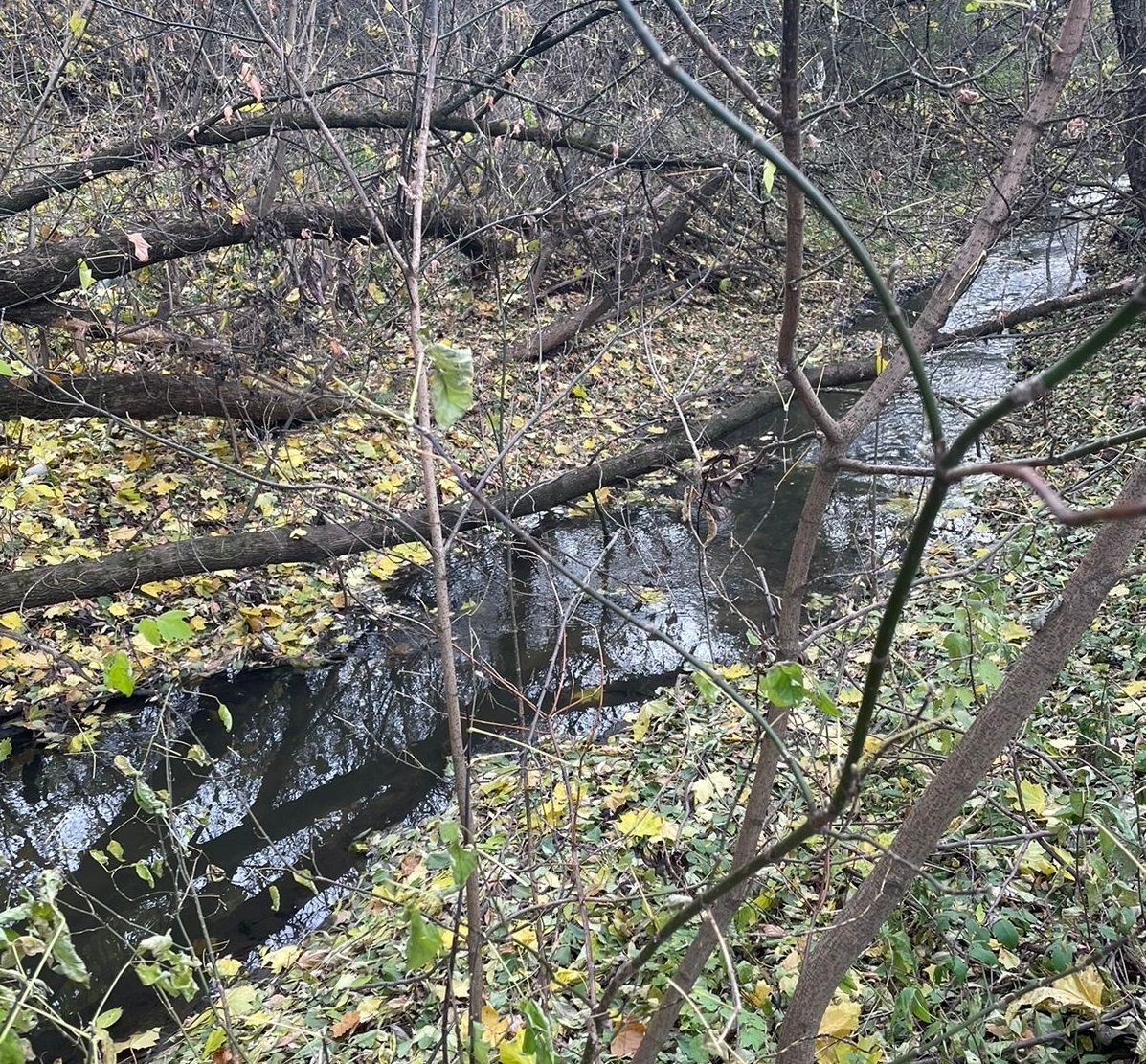 В Люберцах приступили к санитарной расчистке реки Македонки | 27.10.2023 |  Люберцы - БезФормата